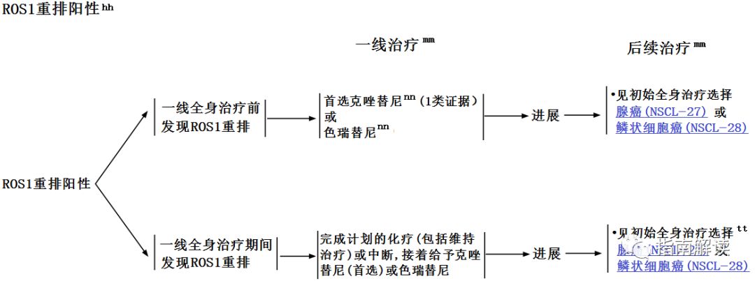 如何进行基因检测?如何选择靶向和免疫治疗药物?都总结在这了