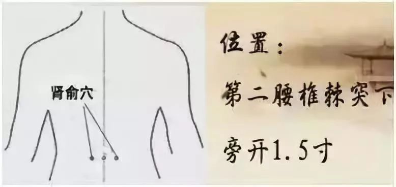 肾俞穴