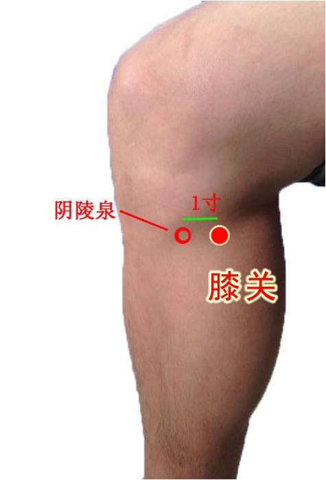 足厥阴肝经经穴好记分寸歌诀有图有真相