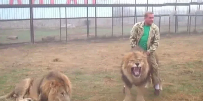 獅子與遊客親密互動，突然發狂好嚇人，飼養員一記巴掌驚呆了 萌寵 第4張