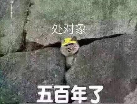 处对象?五百年了