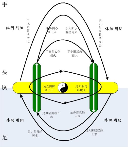 圆运动的古中医学图片