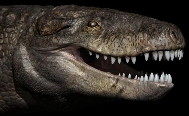 祖巨蜥鳄:完全陆生的史前巨鳄