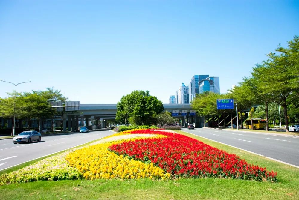 中分带花卉布置提取深圳海滨城市元素,以浪花为原型,以草坪作画布