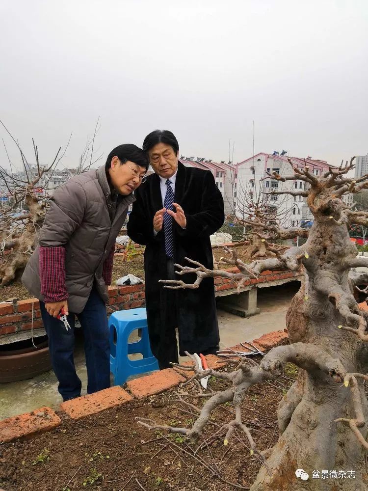 安徽省滁州市盆景赏石协会第二届会员代表大会暨访会长刘传富的空中