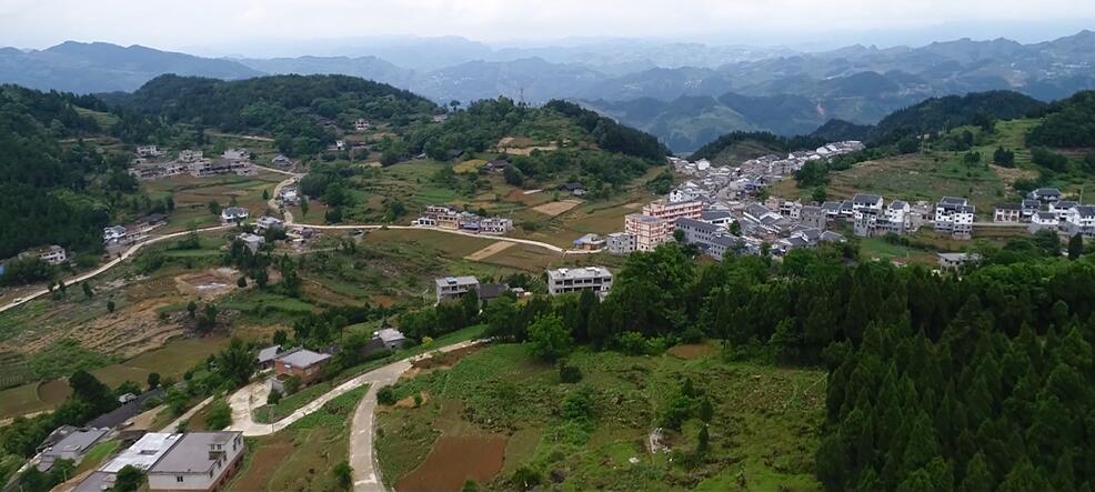 目前,贵州向黔进集团农业版块的心动农场,已经深入汇川区山盆镇,芝麻