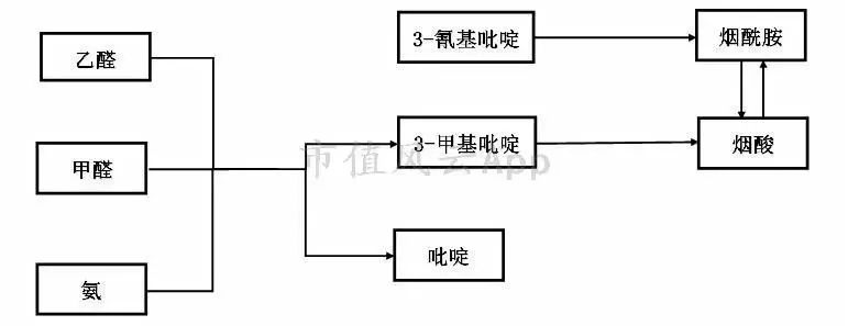 疯狂的维生素