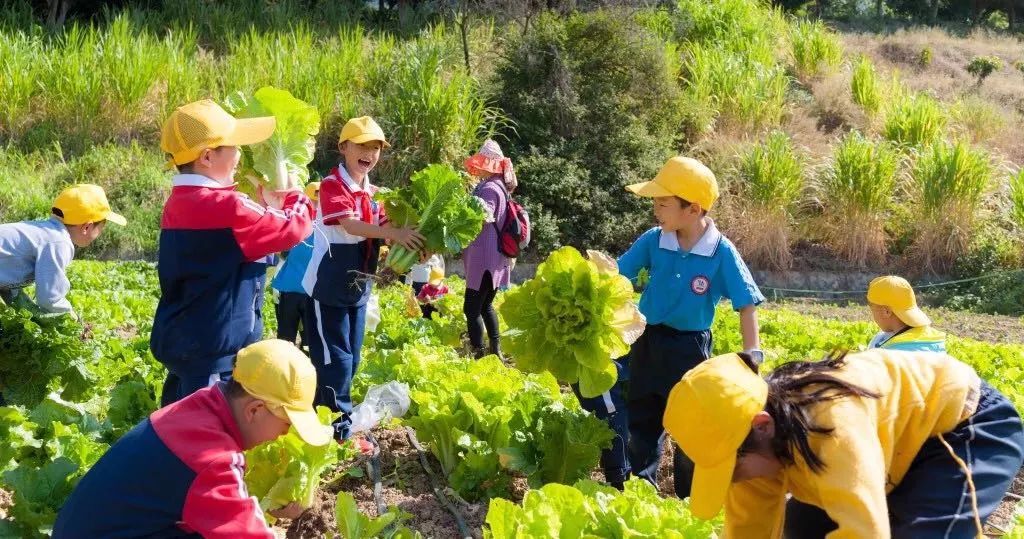 攀枝花人口音_攀枝花人图片