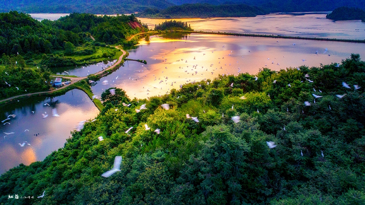 林花遍地,景色清新怡人 这里是一幅秀美的九龙湖画卷