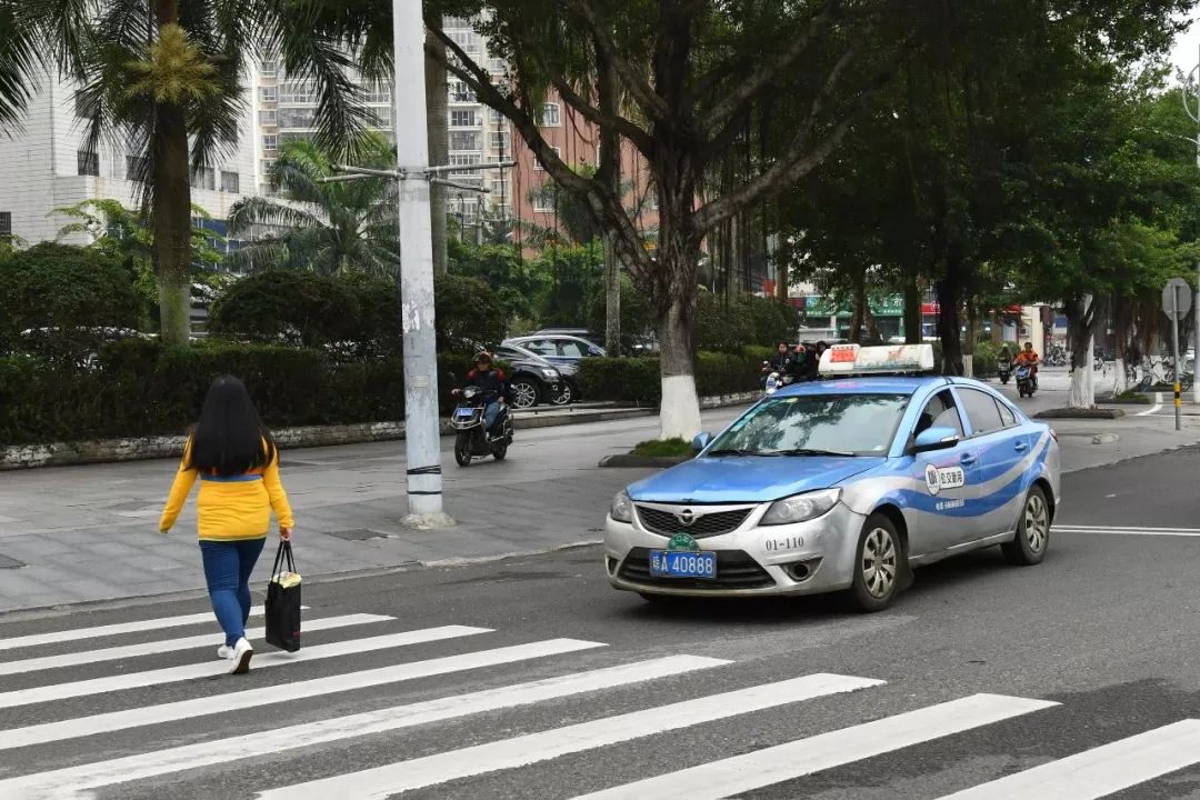 出租车在斑马线处礼让行人.海口日报记者 张洋 摄