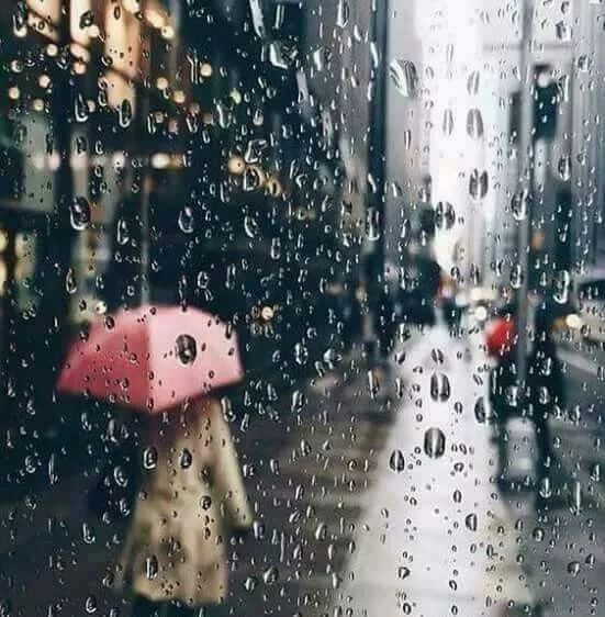 我等你,在雨中