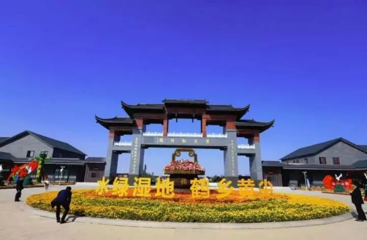 水绿湿地 鹤乡黄尖 中国丹顶鹤小镇 宣传片,这可能是你见过的最美家乡