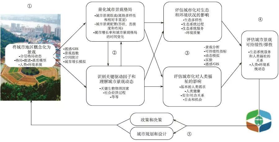 干货分享 | 从城市生态学到城市景观生态学