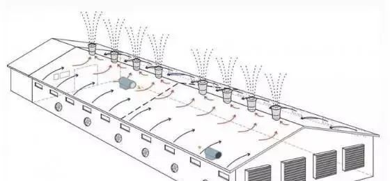 冬季如何降低猪舍内的氨气,减少呼吸道疾病的发生