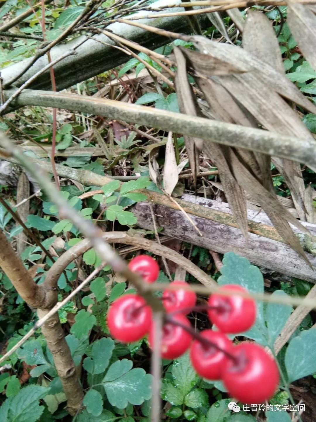 乌江中学每个学期多少钱_铜仁乌江中学_乌江中学