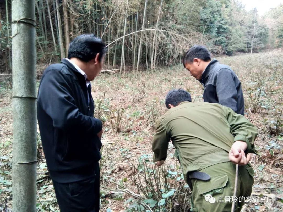 烏江中學每個學期多少錢_烏江中學_銅仁烏江中學