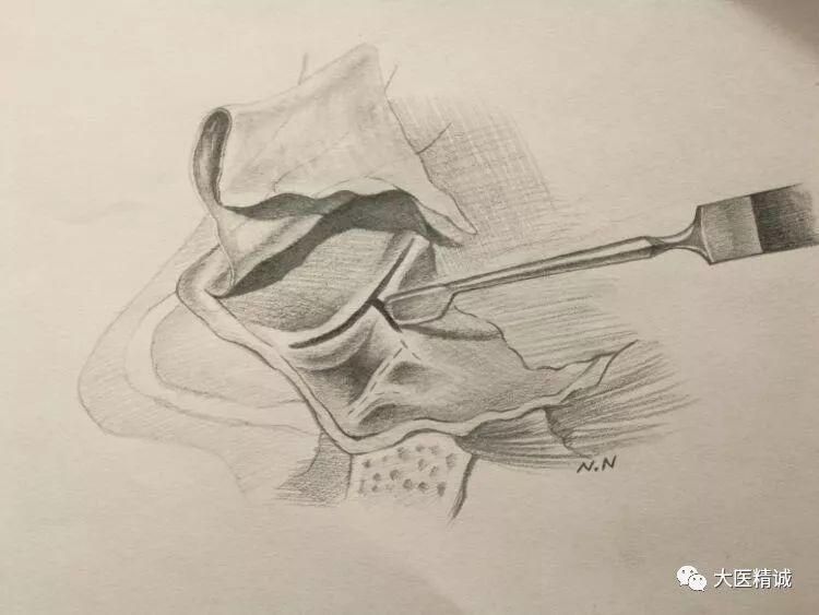 【艺术】一位外科医生的素描画
