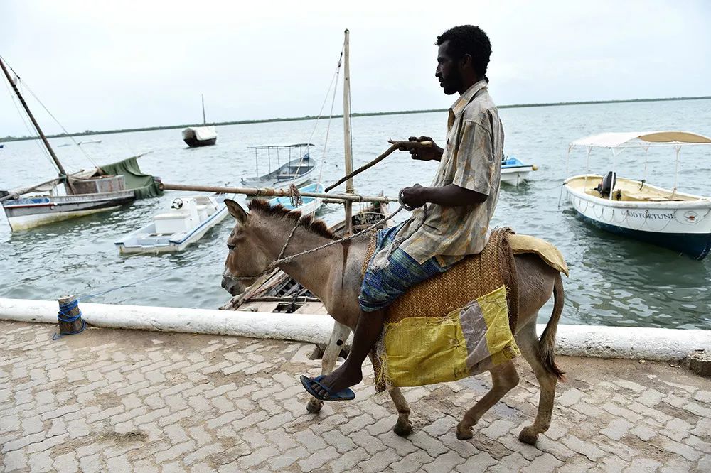 這個東非小島交通靠騎驢，男人穿「裙子」，與中國還頗有淵源 旅行 第4張