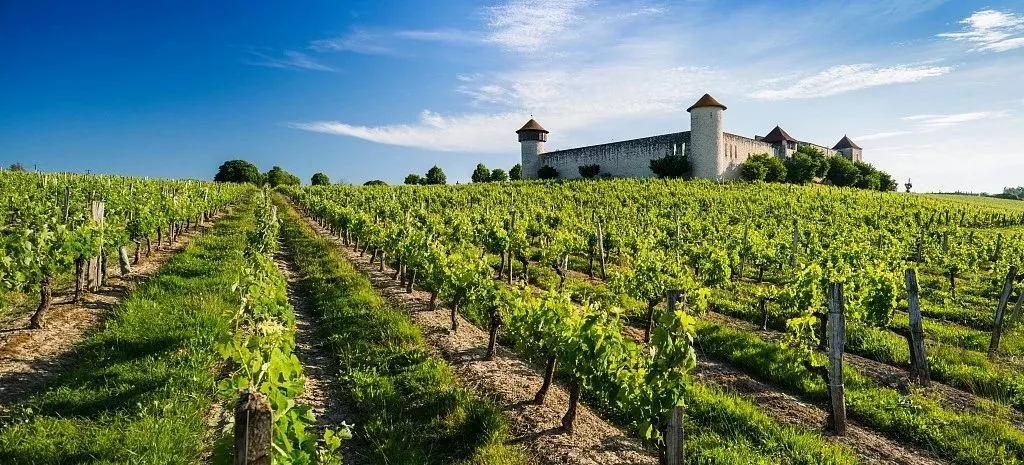 法国葡萄酒在中国份额下降,看酒商怎么解读?
