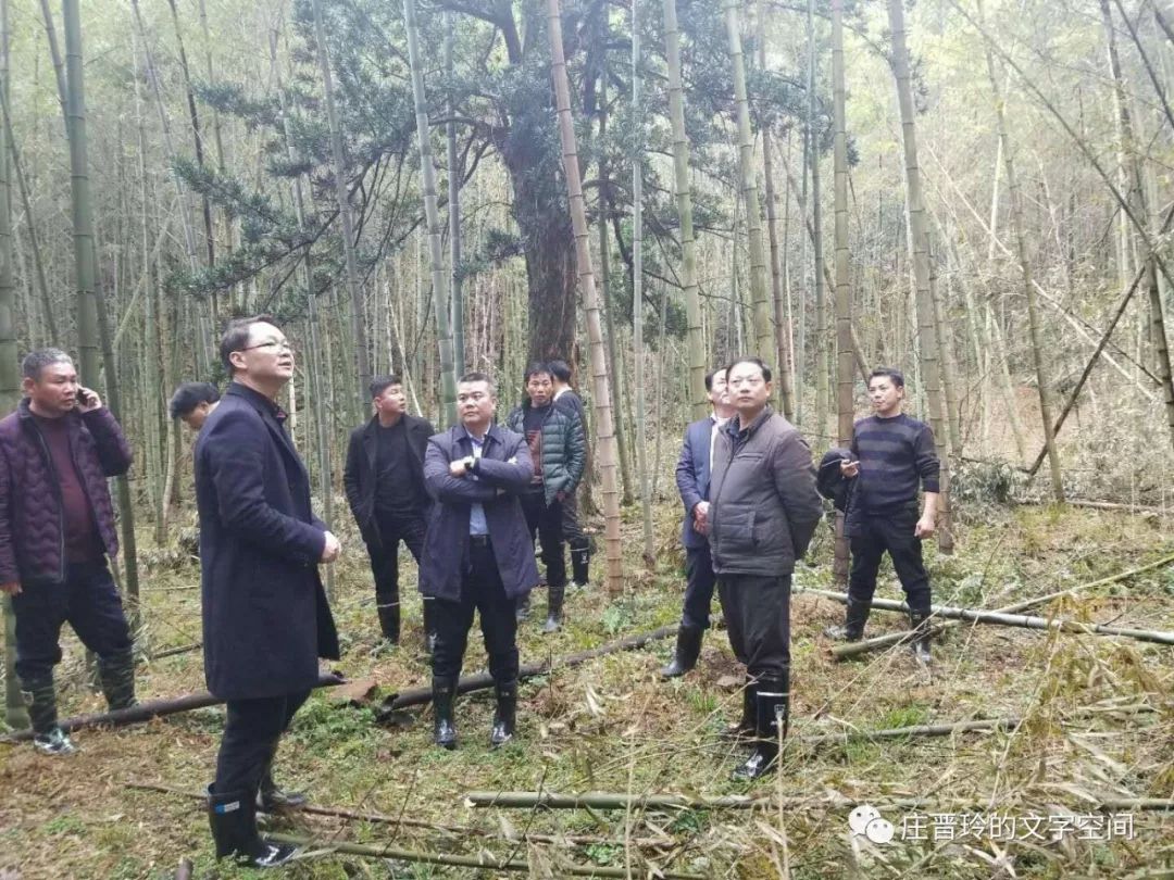 铜仁乌江中学_乌江中学每个学期多少钱_乌江中学