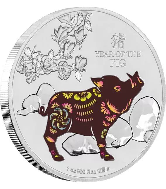外国也有猪年纪念币！中国猪币 VS 外国猪币，谁更好看？