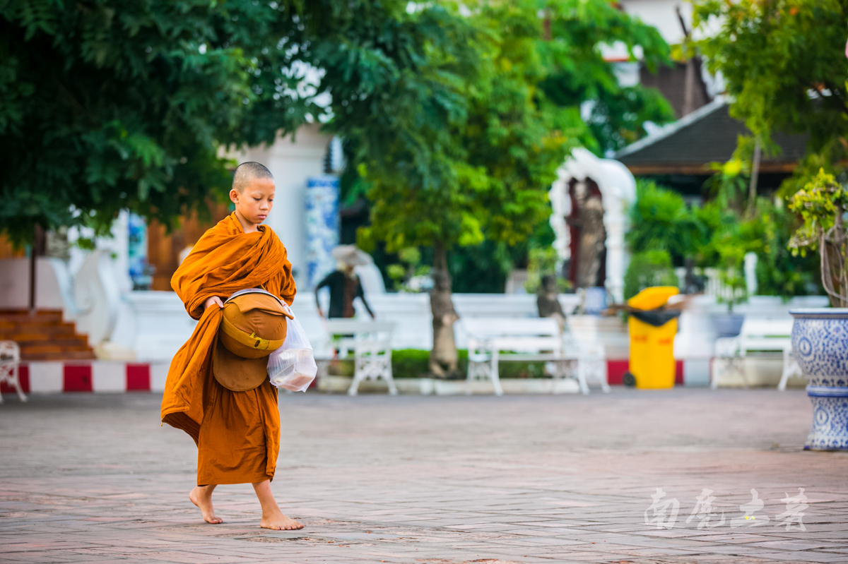 泰国的寺庙没有伙房，僧侣们吃饭怎么办