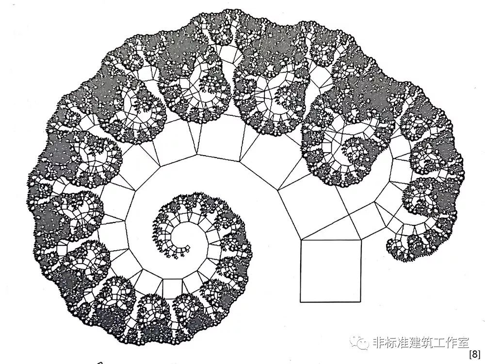 经过五十步构造后的毕达哥拉斯树