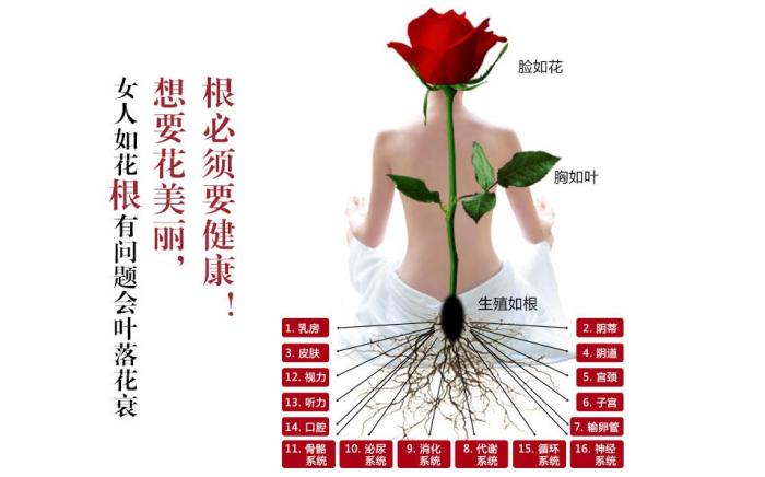 都说女人如花,生殖如根.想要花美丽,根必须要健康!