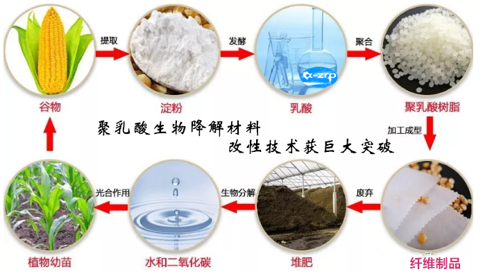 聚乳酸生物降解材料改性技术获巨大突破