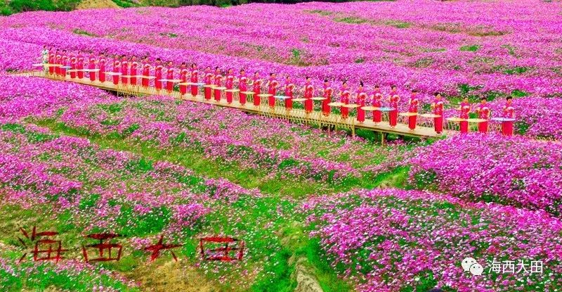 大田桃源里花海乐园景区