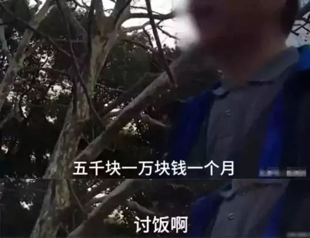 肥东彩礼怎么看