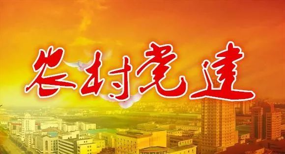 敲黑板 划重点 今后农村基层党建工作这么干!