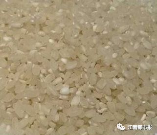 大米 别以为做熟了就能放松警惕,变质的米饭也是最容易产生黄曲霉毒素