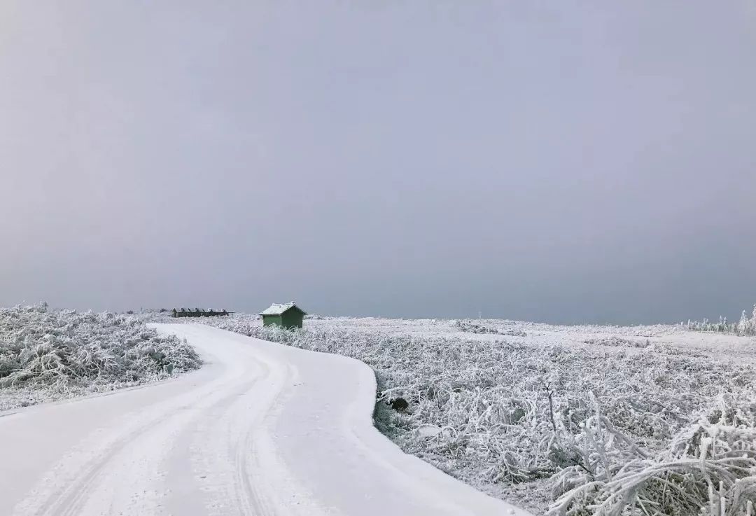 正是看雪好时节 一起来看一波川河盖雪景 大家都在看 秀山积极组织