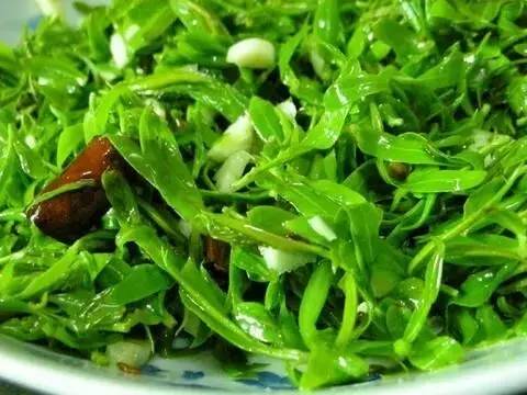 一种野菜治一种病!年轻十岁!一定要发出来给大家看看