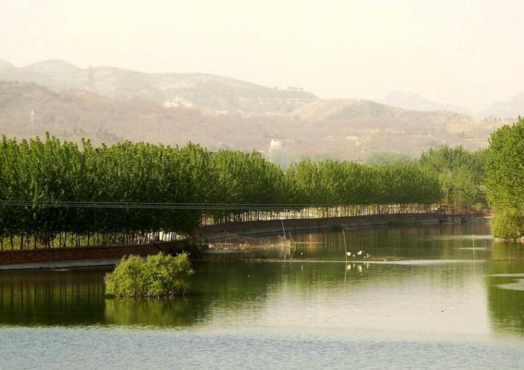 只知道安阳有几条河,没想到安阳还有条江