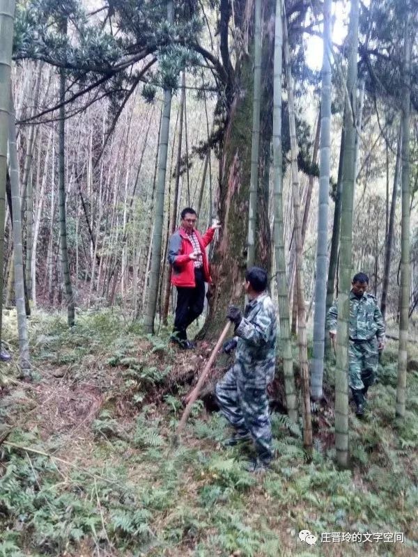 銅仁烏江中學_烏江中學每個學期多少錢_烏江中學