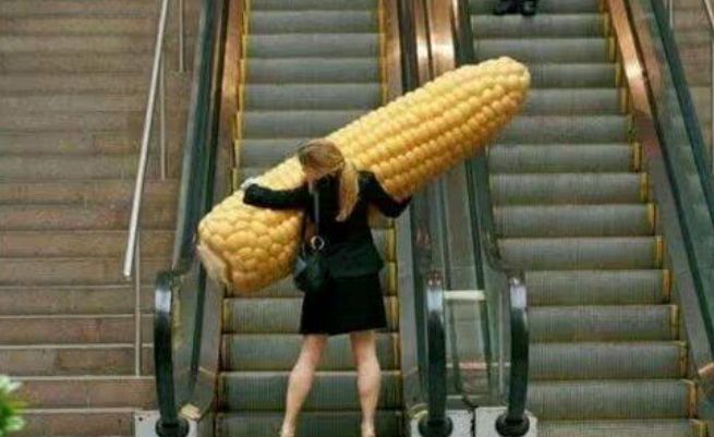 幽默搞笑:妹子,你就没想过这么大的玉米,搬回家和怎么
