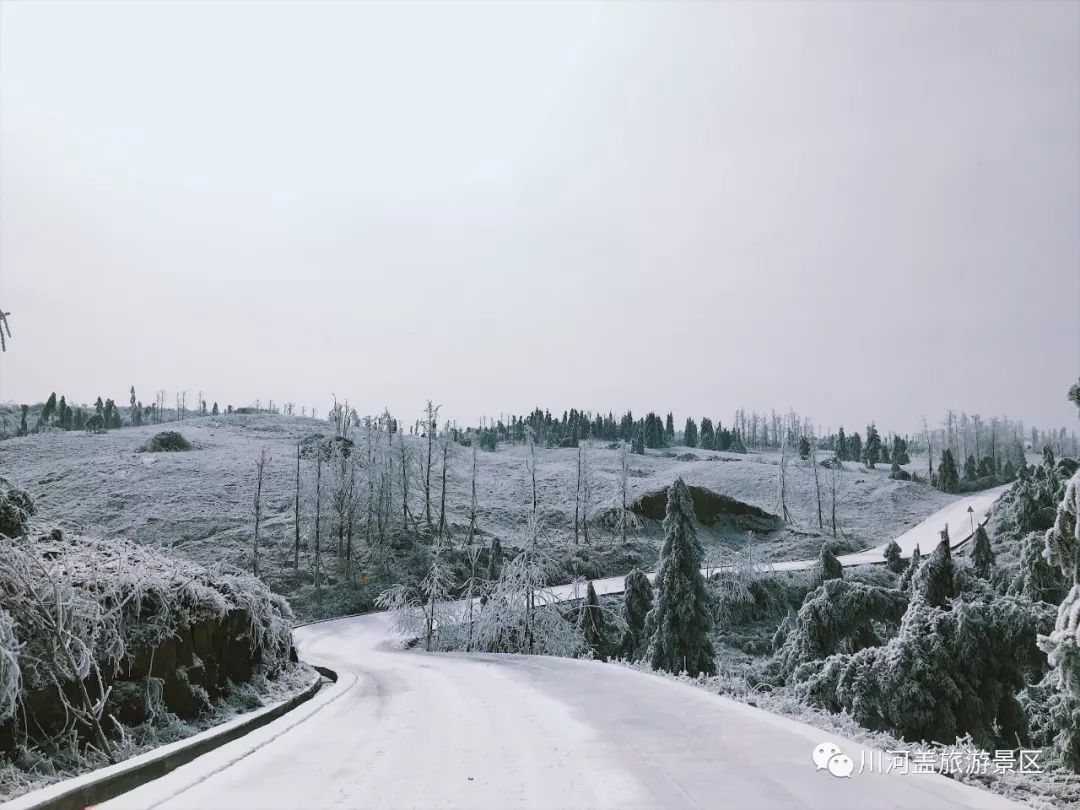 恭喜川河盖景区喜提"首届重庆文化旅游新地标(附一波雪景美图)