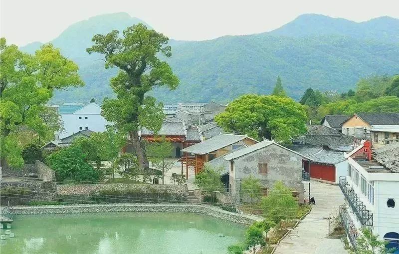 屿头乡沙滩村 南城街道山前村