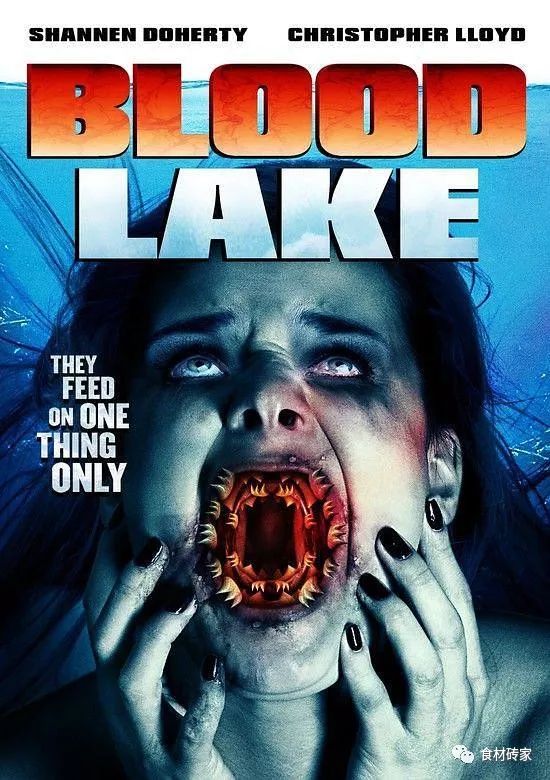 2014年的《血湖》是以七鳃鳗为题材的恐怖片.