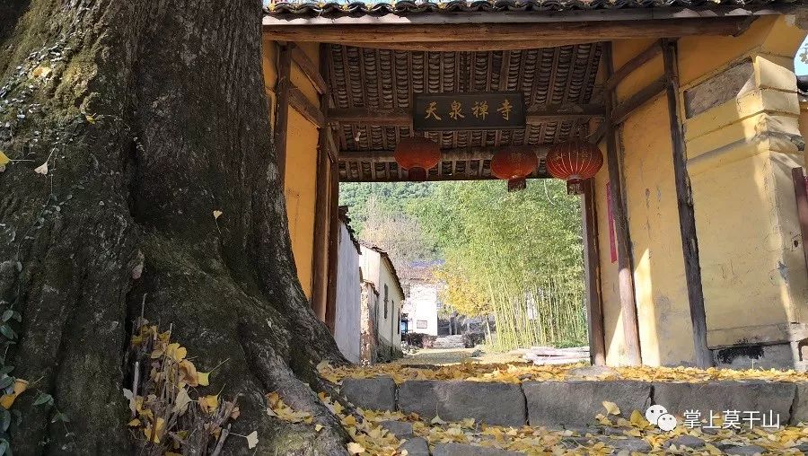 天泉寺