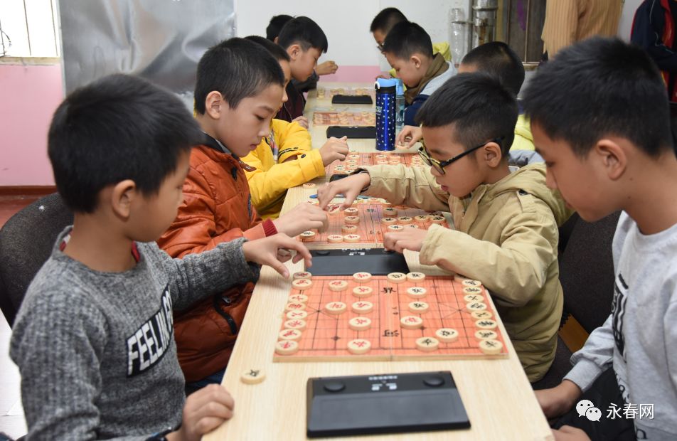 重磅棋讯永春小学生中国象棋赛赛前培训班招募学员啦