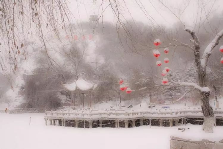 第五届中国新疆国际旅游摄影节铜奖作品:程永章《飞雪迎春》