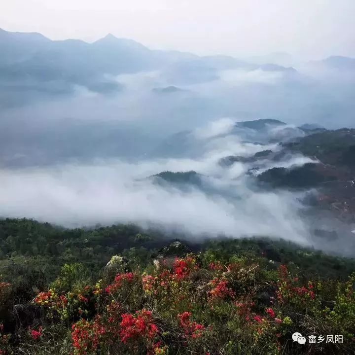 旅游 正文  凤阳畲族乡是位于苍南县鹤顶山北麓的小畲乡,全乡畲族人口