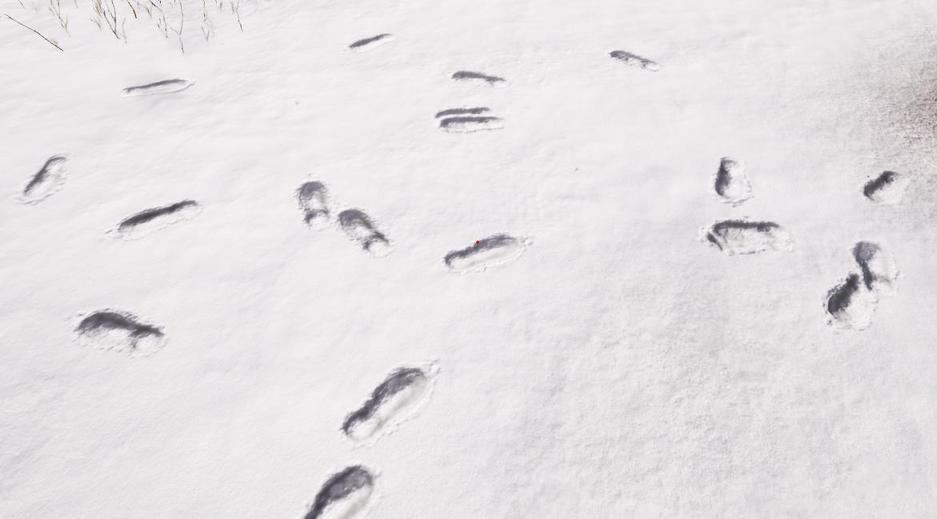 绝地求生闲聊关于雪地求生脚印和车印的奇葩故事