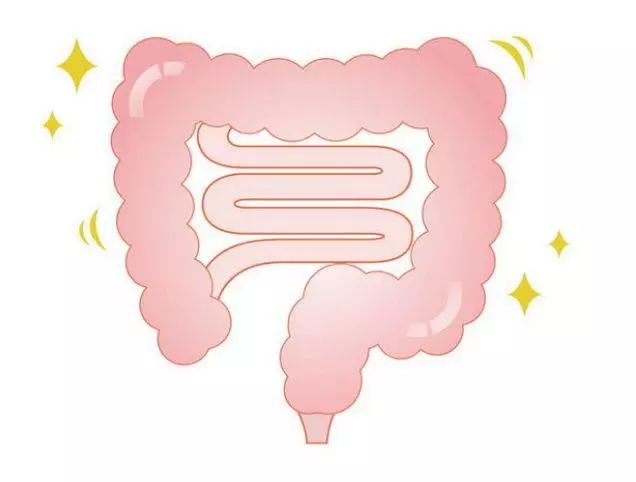 事实上, 小肠是吸收食物中营养物质的主要器官,而粪便则存储在大肠中.