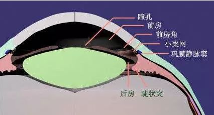 正常人的眼压在10mmhg-21mmhg之间,眼内房水的产生和循环障碍是造成