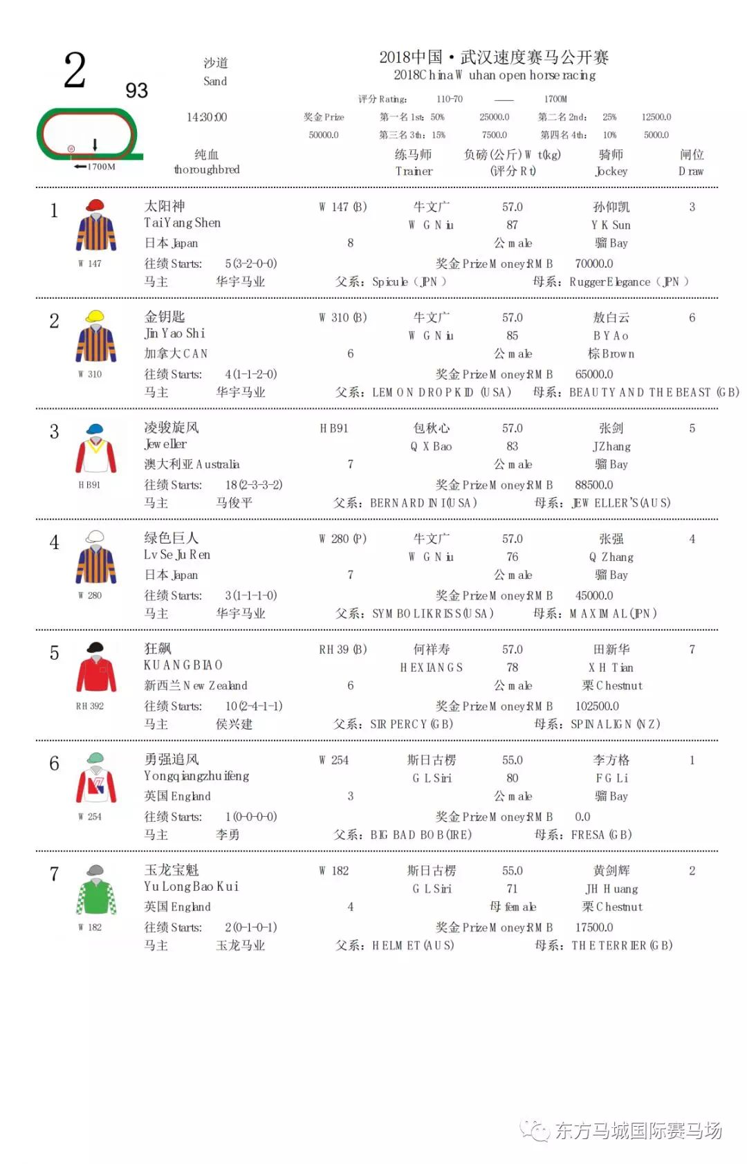 2018武汉赛马年度总决赛tips_大陆