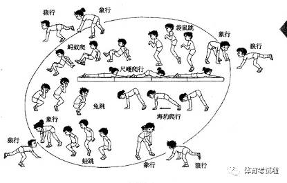 幾種可以在資格證試講中採用的遊戲（已配圖） 遊戲 第5張